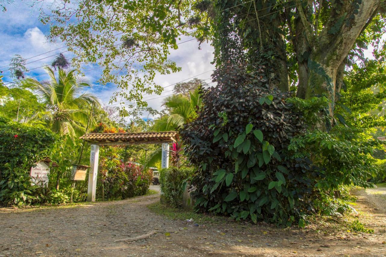 Villa Cabinas Iguana Cahuita Extérieur photo